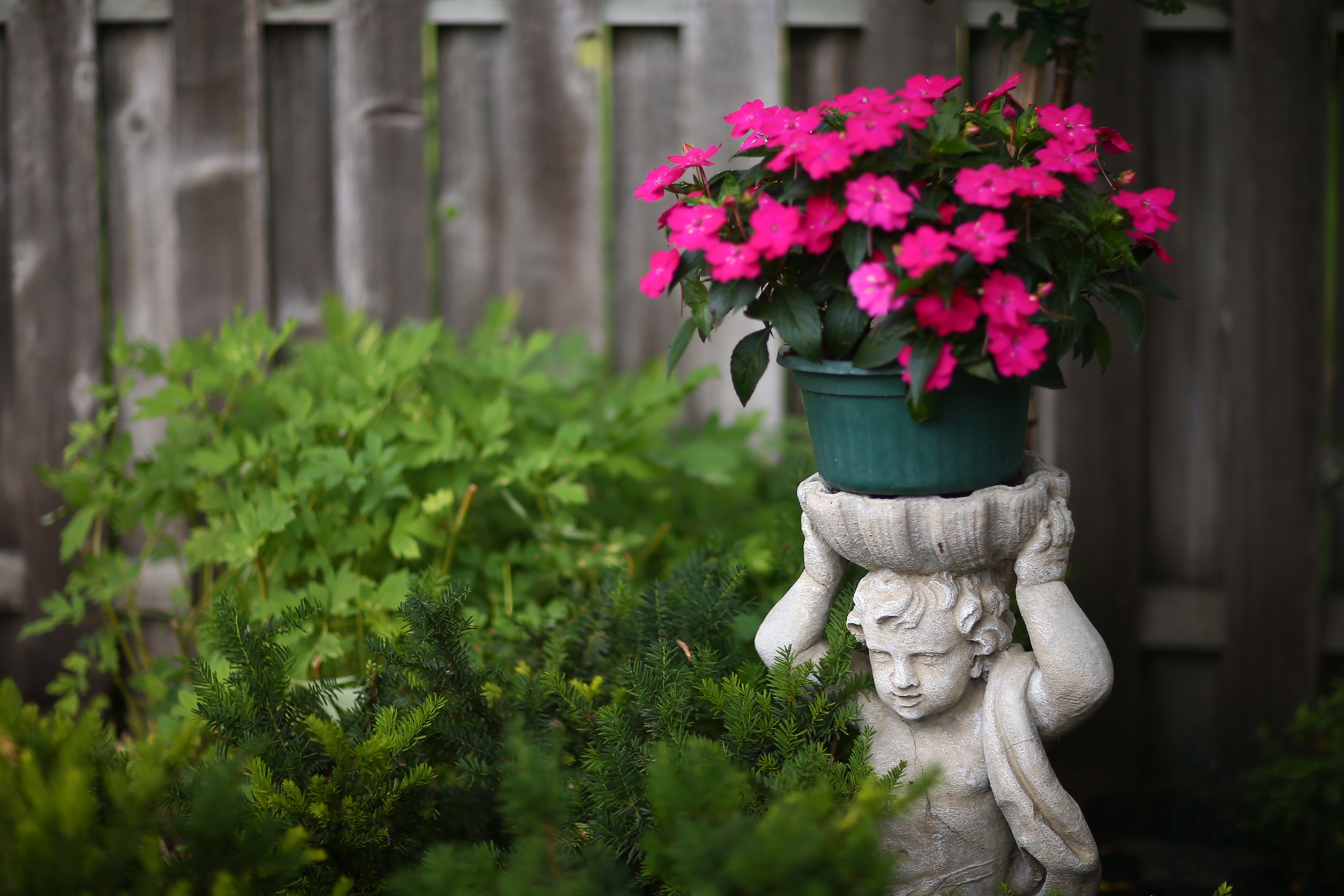 Grand Forks Horticultural Society to host annual garden tour, plant sale - Vimarsana News