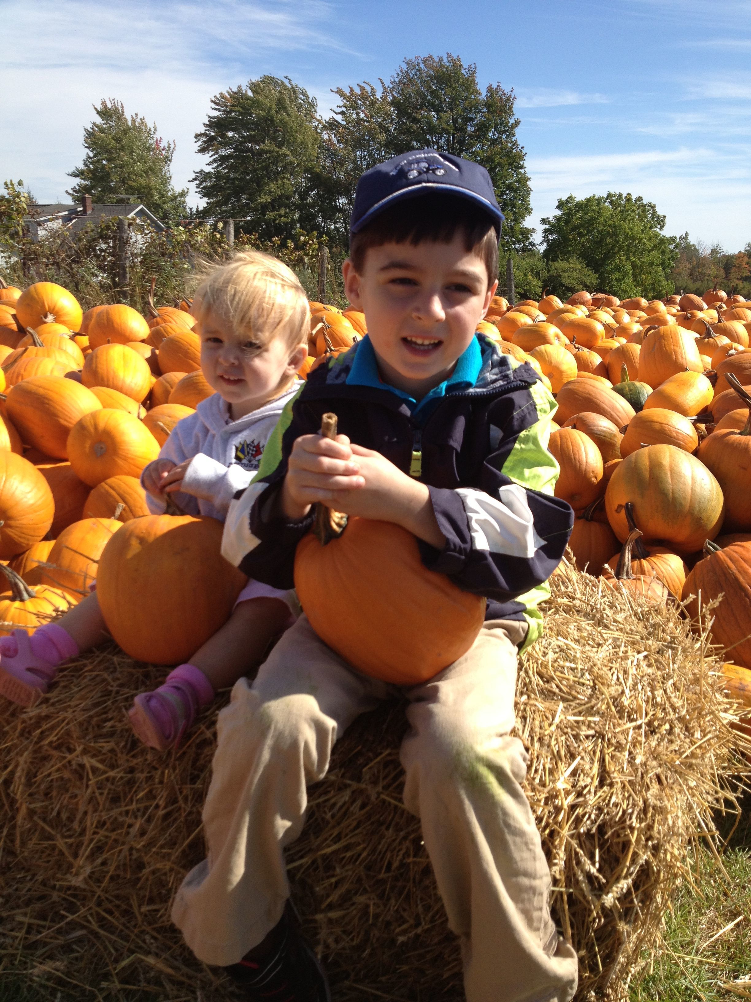 Grand Forks region's fall activities offer array of options to get out and enjoy festivities, fun - Grand Forks Herald | Grand Forks, East Grand Forks news, weather & sports - Vimarsana News