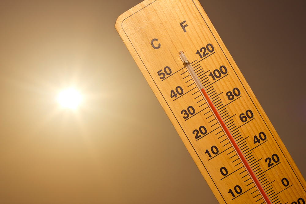 Safe Kids urges caregivers to beware of vehicular heatstroke - Vimarsana News