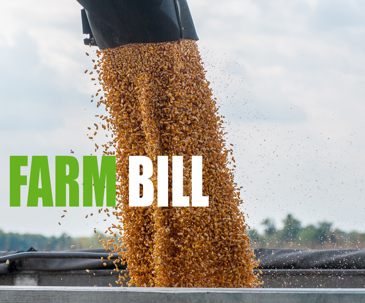 A 'meat and potatoes' look at what made up the 2018 Farm Bill - Vimarsana News