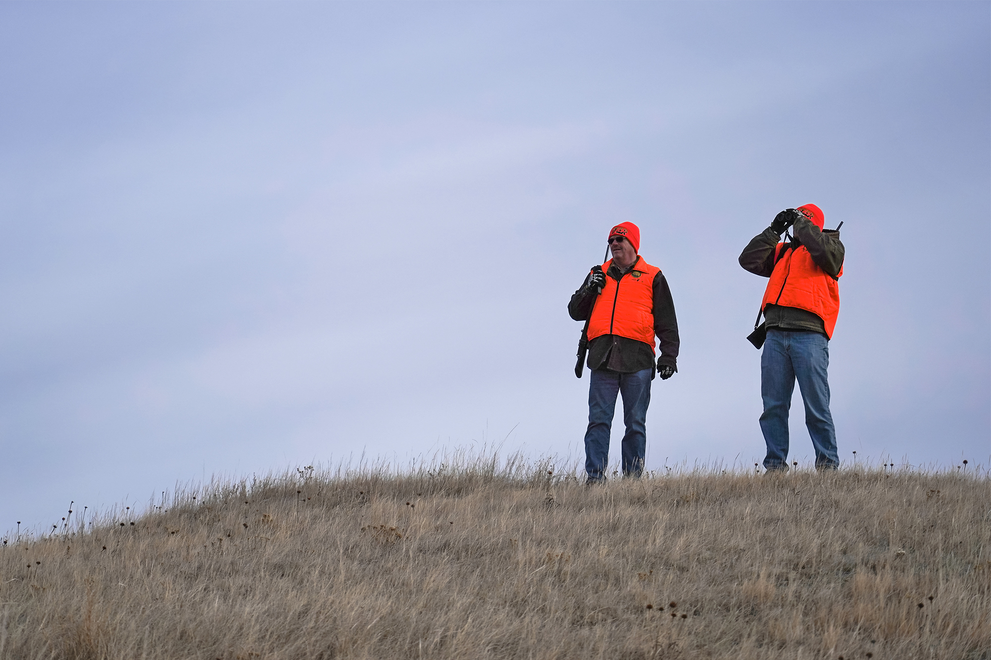 Notebook: Bill would allow party hunting for deer in North Dakota - Vimarsana News