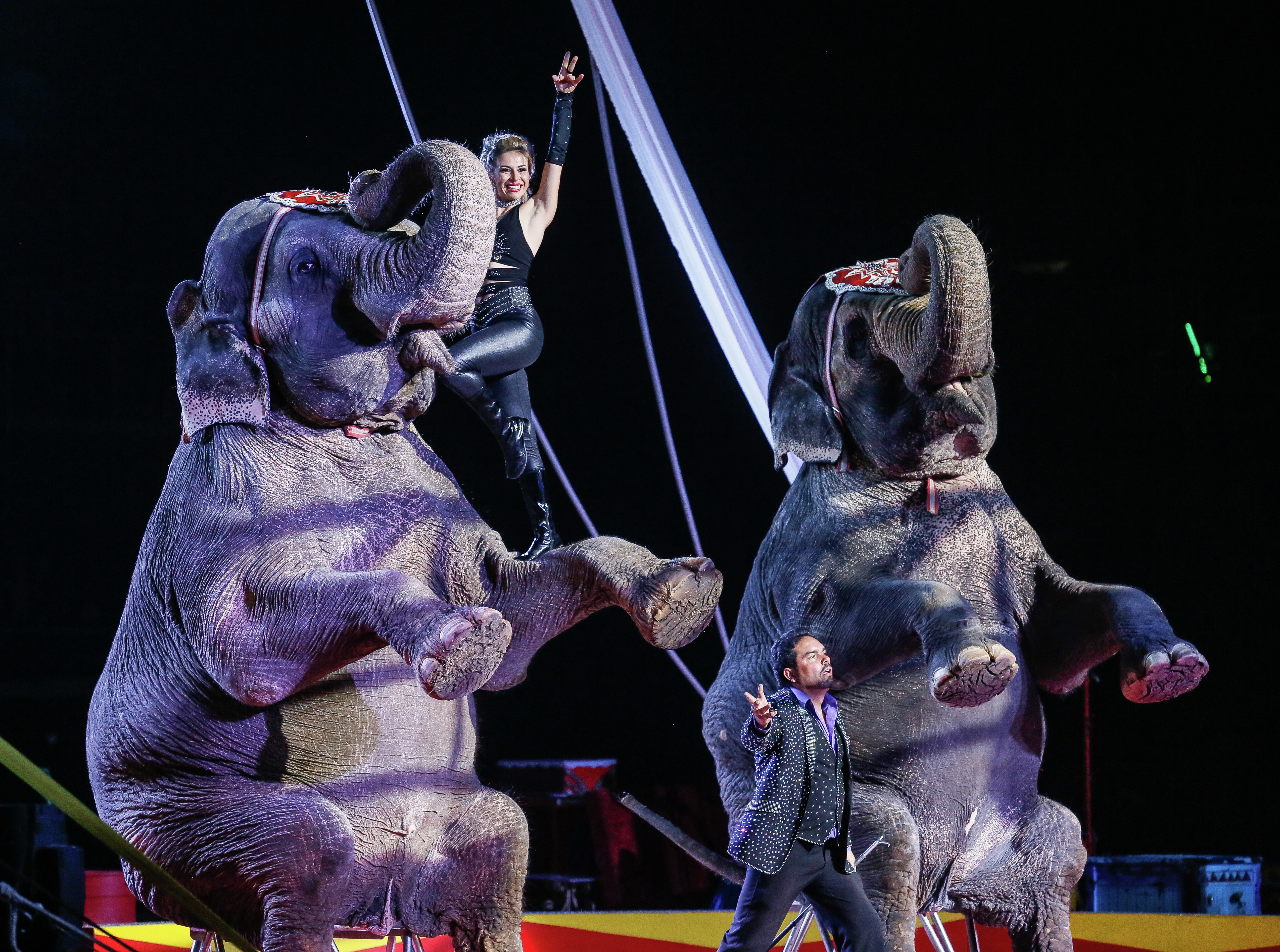 Step right up for the El Zagal Shrine Circus and more events this weekend - Vimarsana News