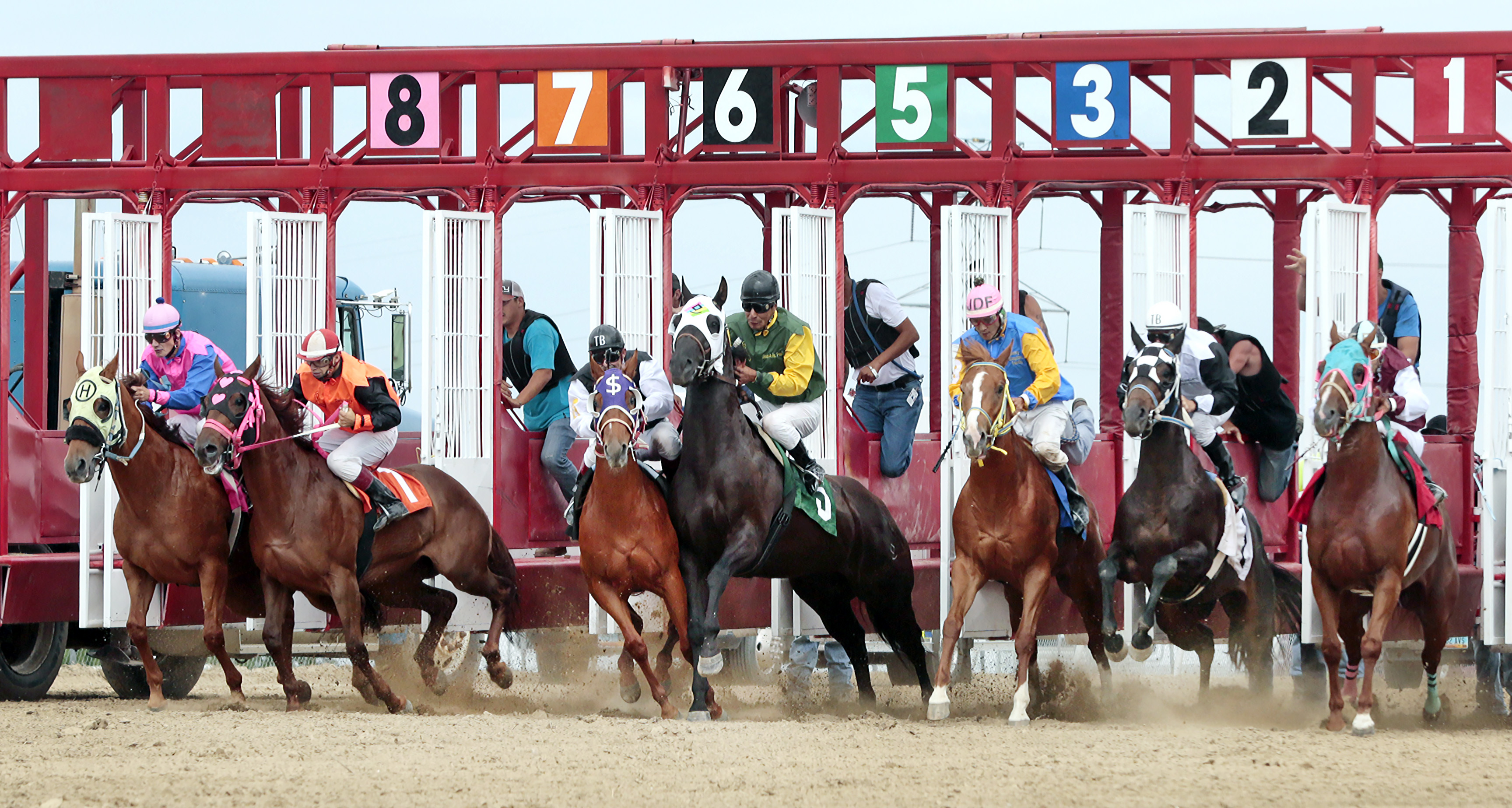 Horse racing returns to North Dakota Horse Park this weekend - Vimarsana News