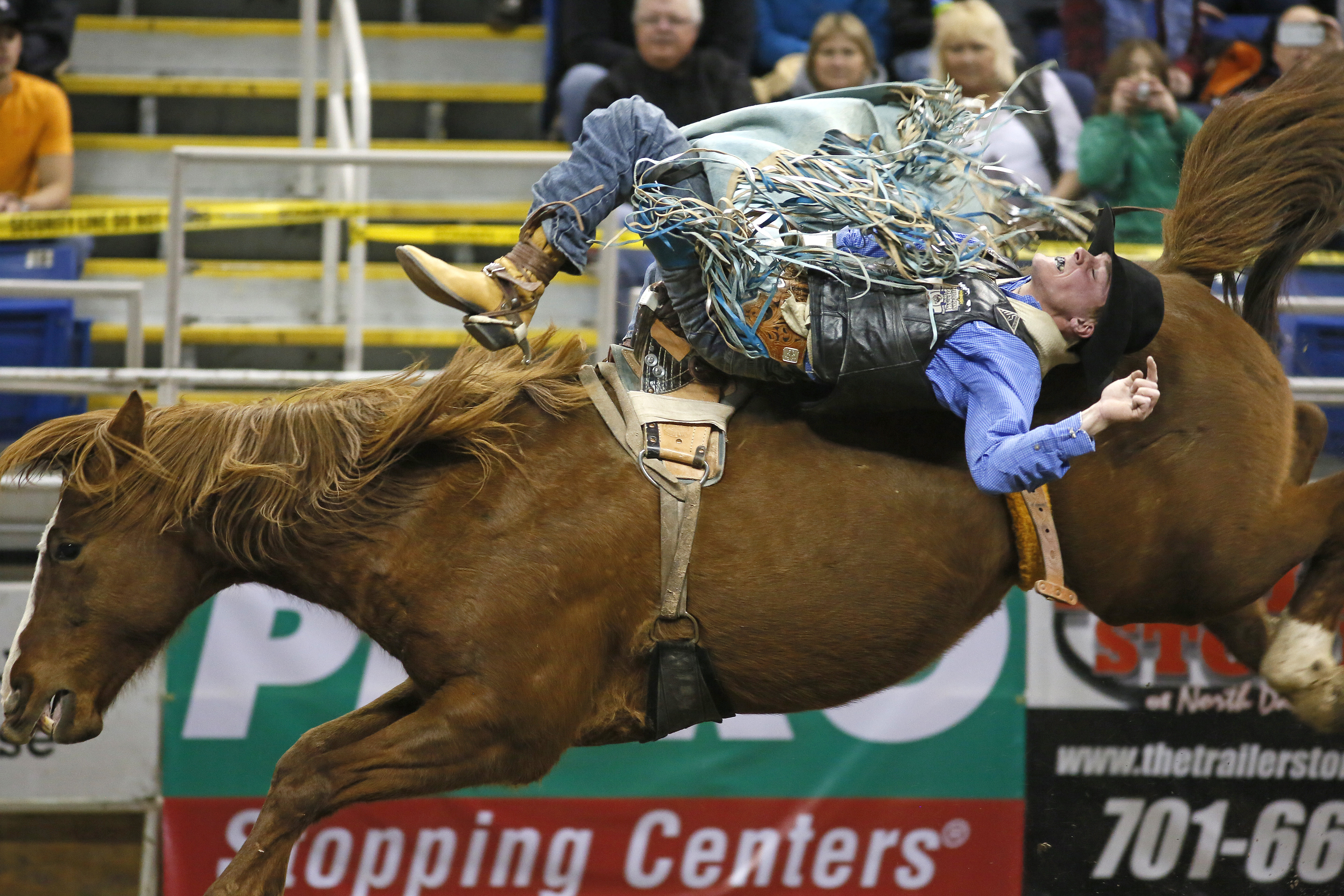 Crows, comedy, cowboys and ice skates highlight this weekend's fun in Fargo-Moorhead - Vimarsana News