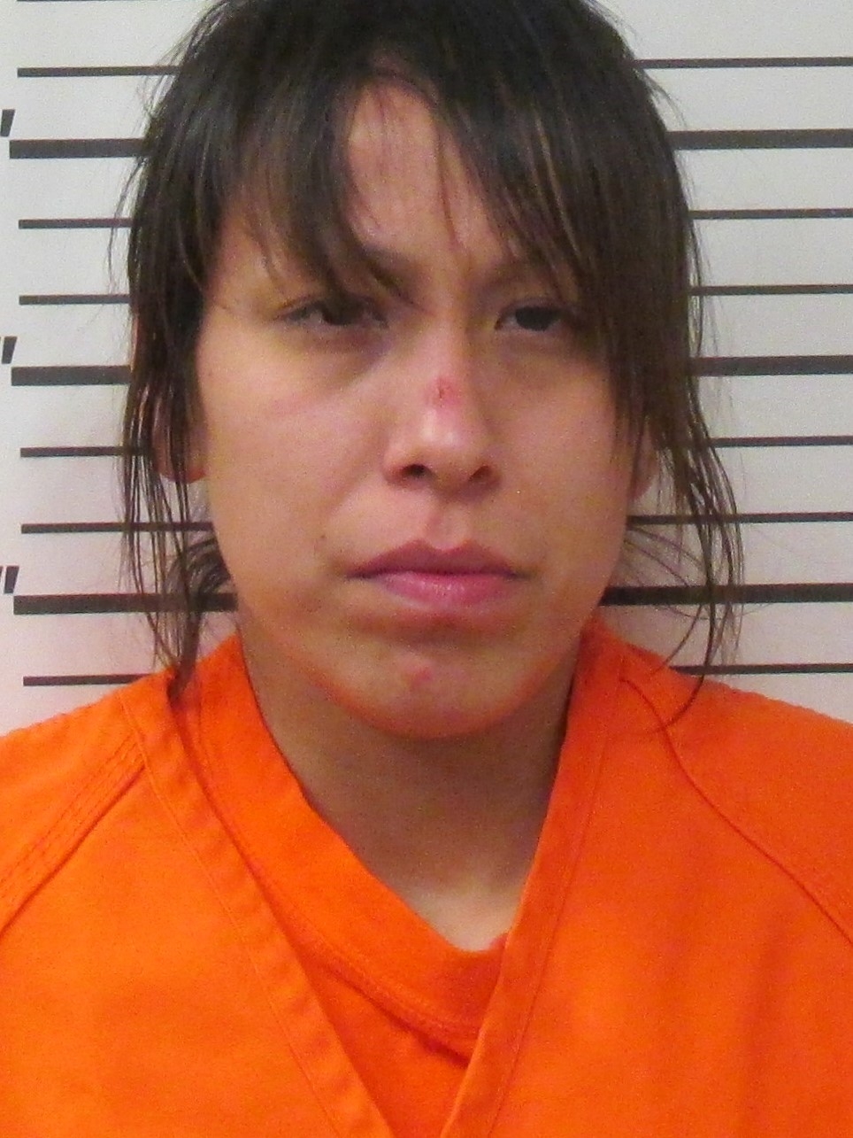 North Dakota woman gets 5 years for infant's starvation death, child abuse - Vimarsana News