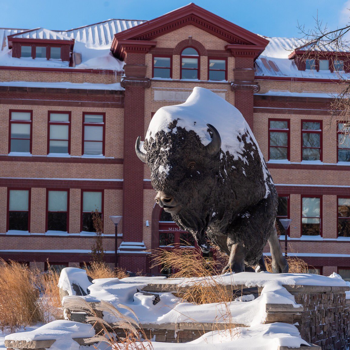 NDSU 3 Minute Thesis competitors prepare for final round - Vimarsana News