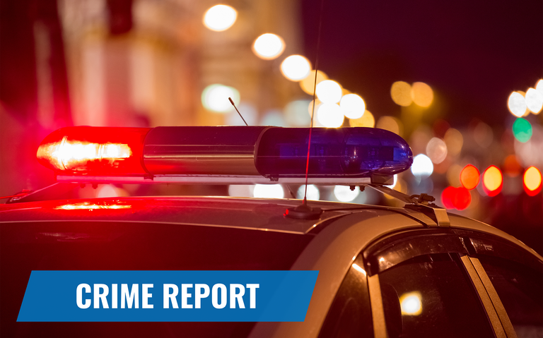 Minnesota man tries shoeless approach in latest attempt to flee police - Vimarsana News