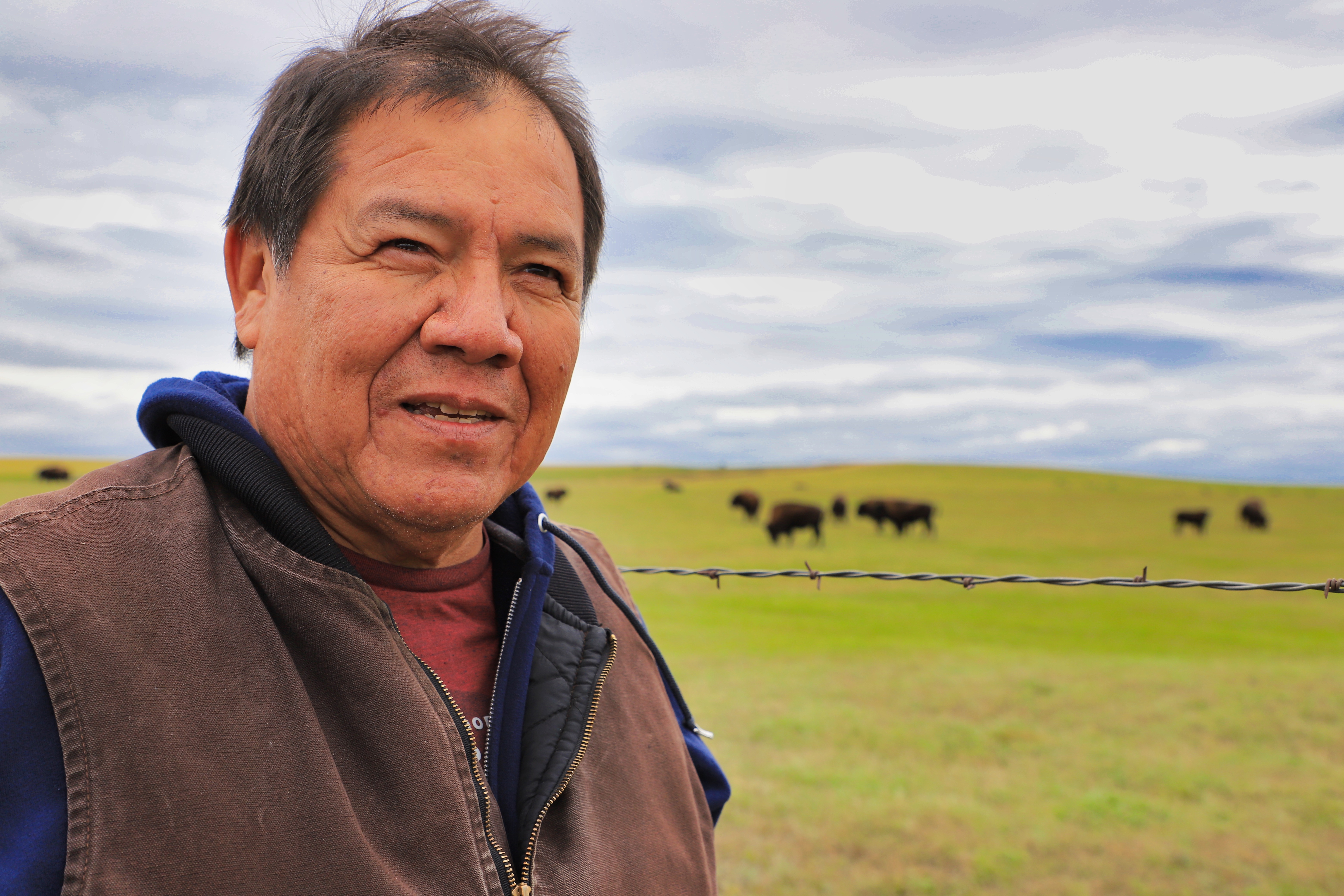 Standing Rock rancher started with 'nothing,' now runs nation's largest native-owned buffalo herd - InForum | Fargo, Moorhead and West Fargo news, weather and sports - Vimarsana News