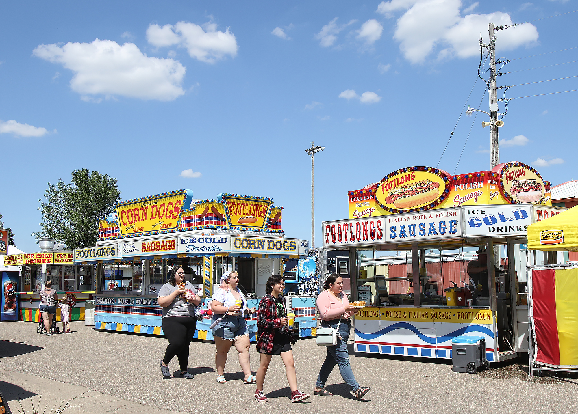 Stutsman County Fair opens June 29 - Vimarsana News