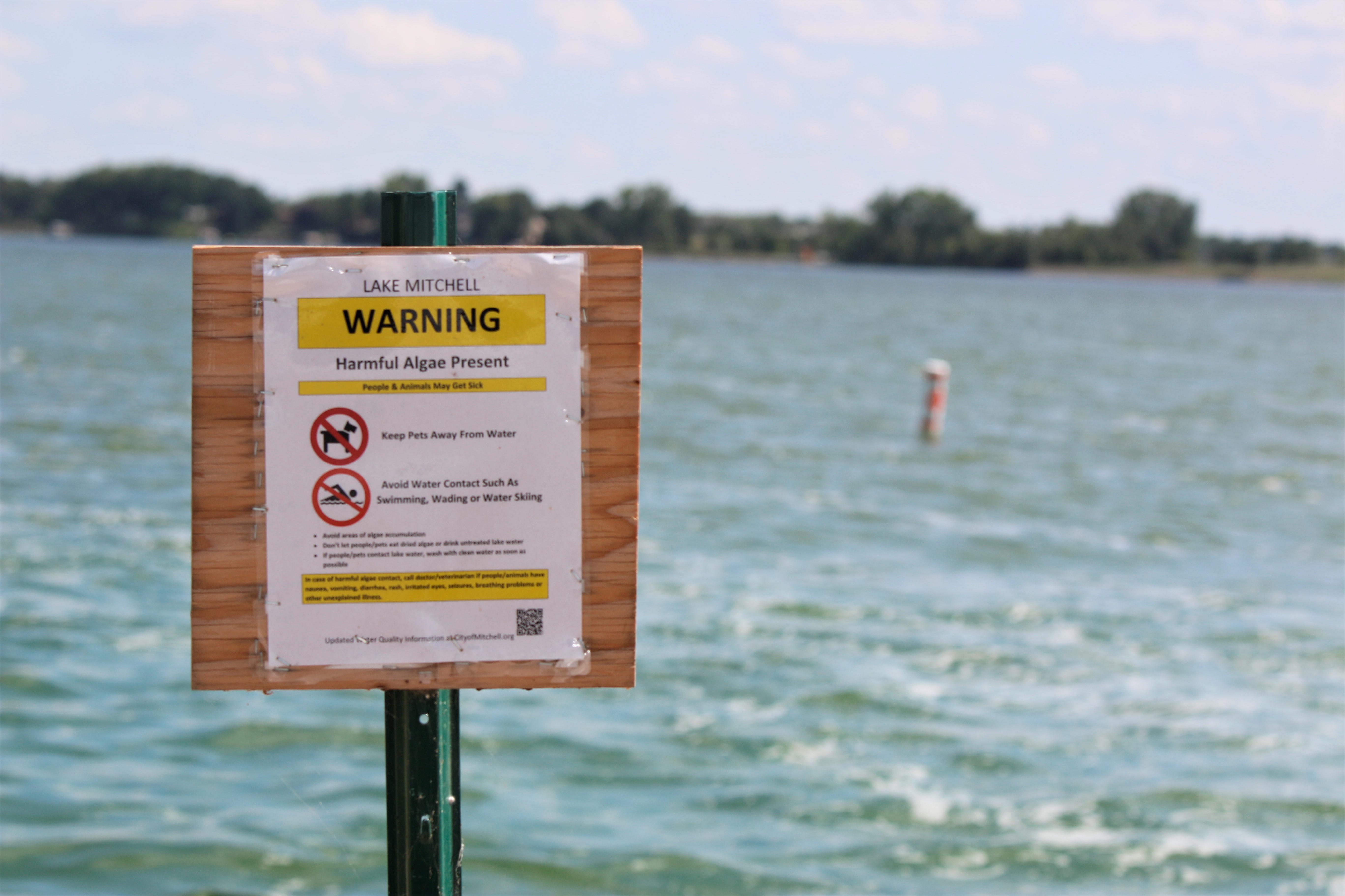 Engineering firm makes recommendation to dredge Lake Mitchell sediment for $25 million - Vimarsana News