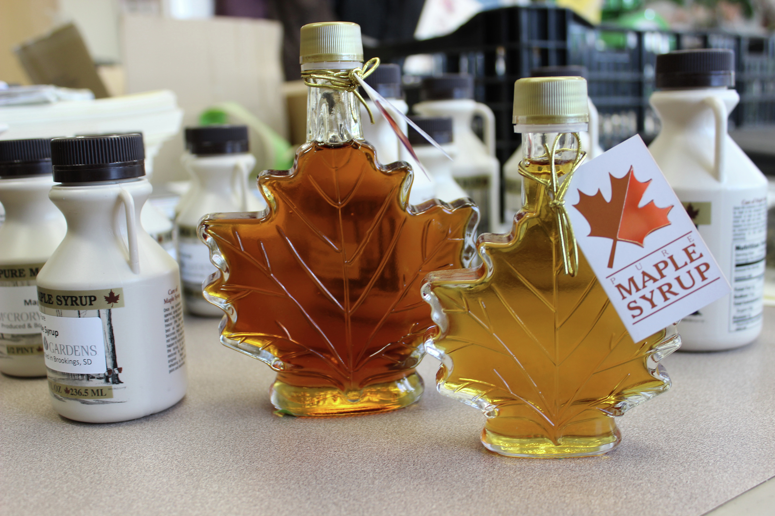 Tapping into 'a great opportunity' with maple syrup production - Vimarsana News
