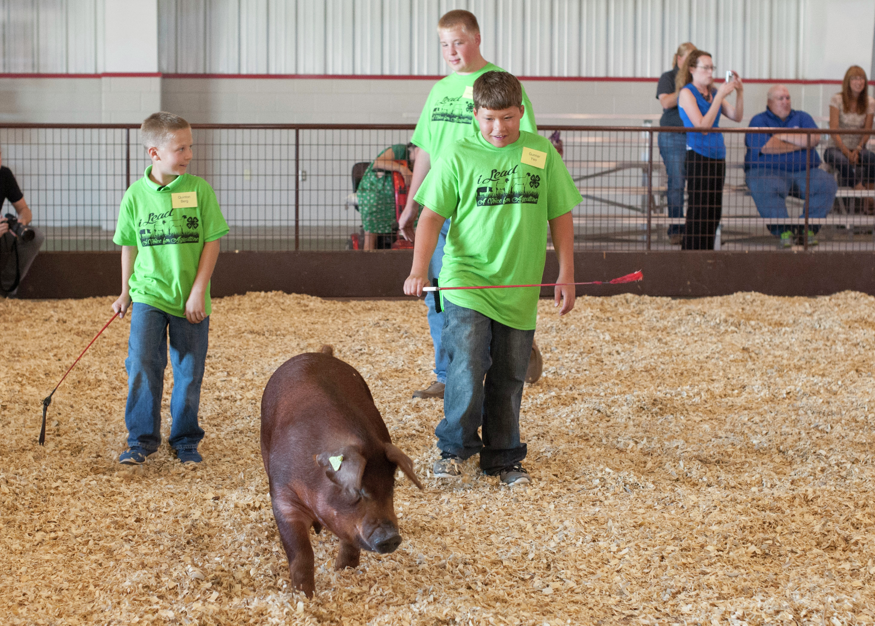 Council to determine whether pet pigs are allowed in Mitchell - Vimarsana News