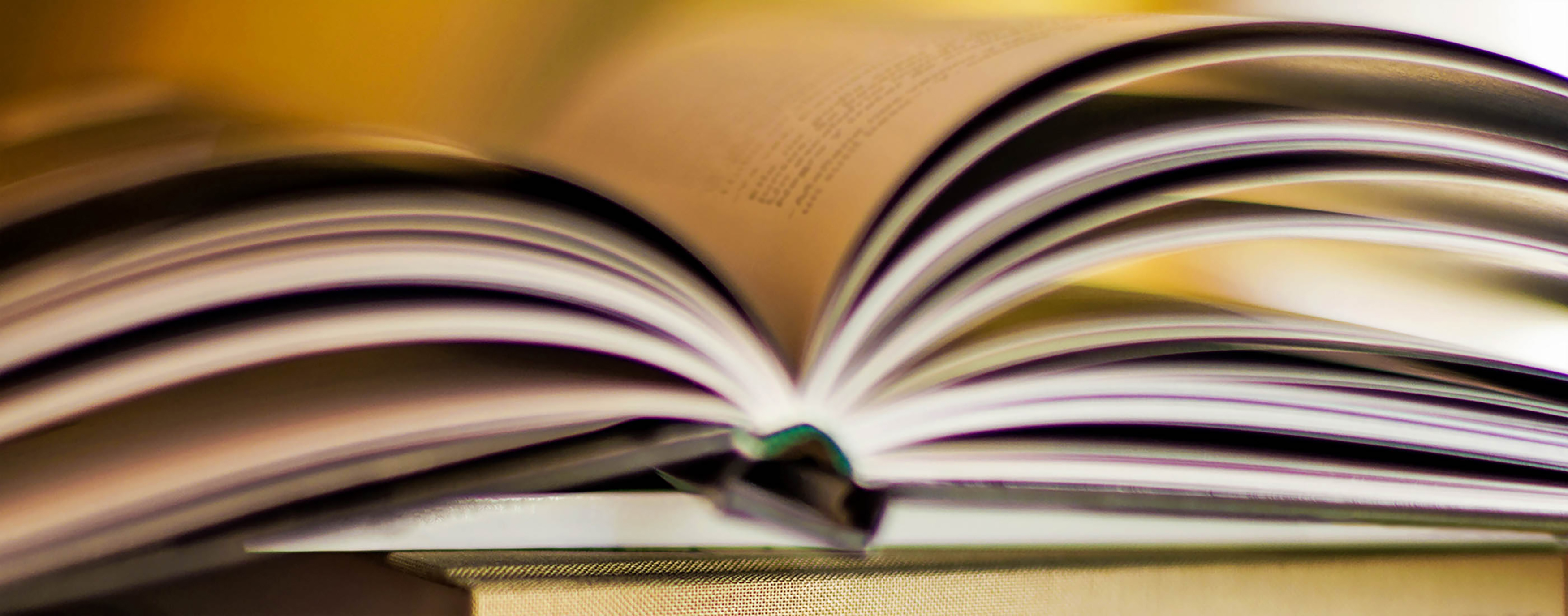 Perham area academic honorees for fall 2021 - Vimarsana News