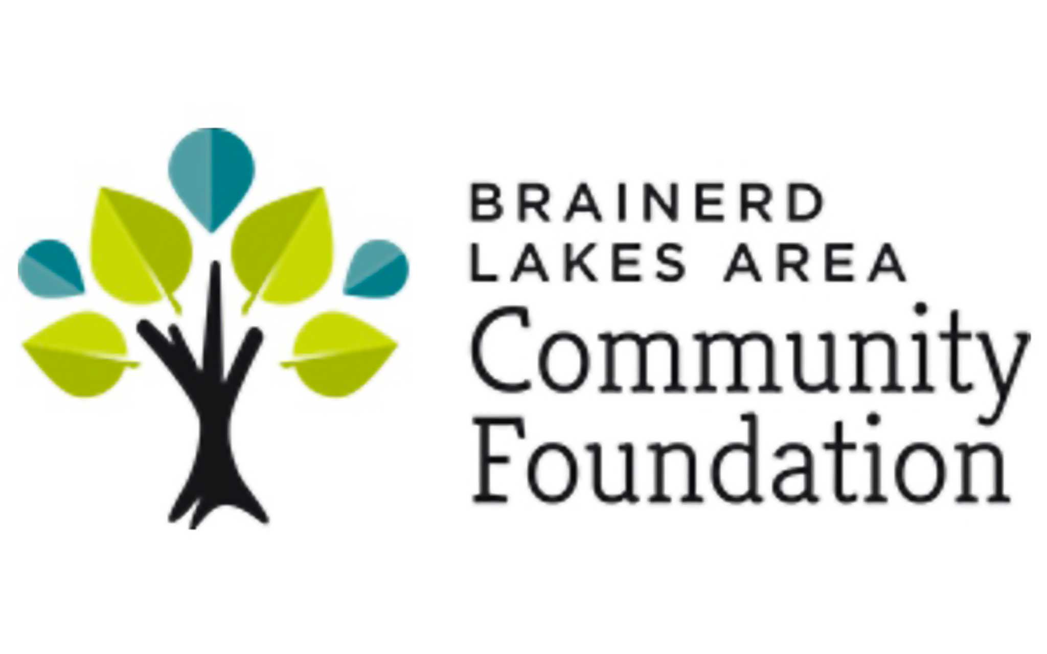 Brainerd Lakes Area Community Foundation elects 4 new board members - Vimarsana News