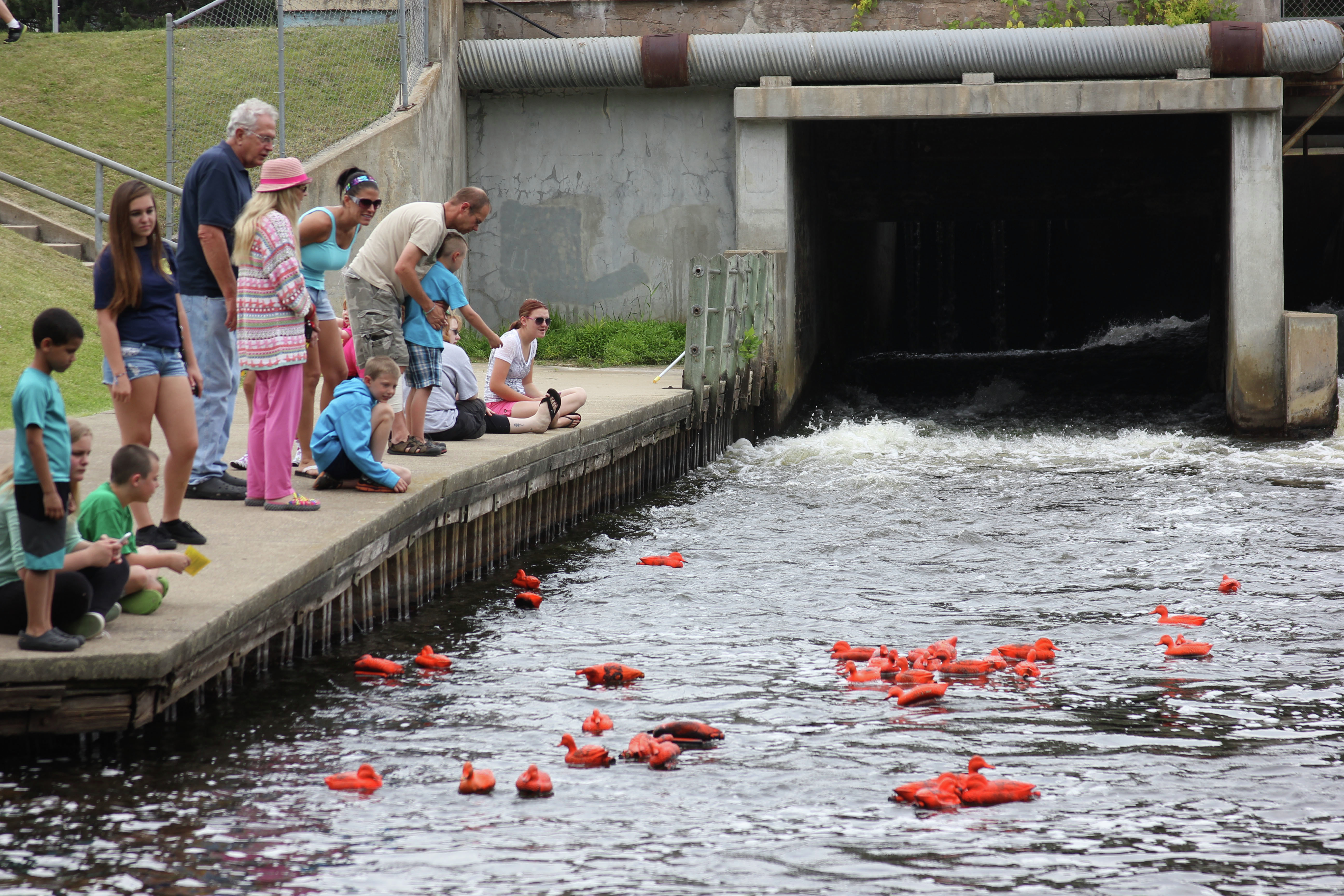 June 17 duck races in Pine River canceled due to river flow - Vimarsana News