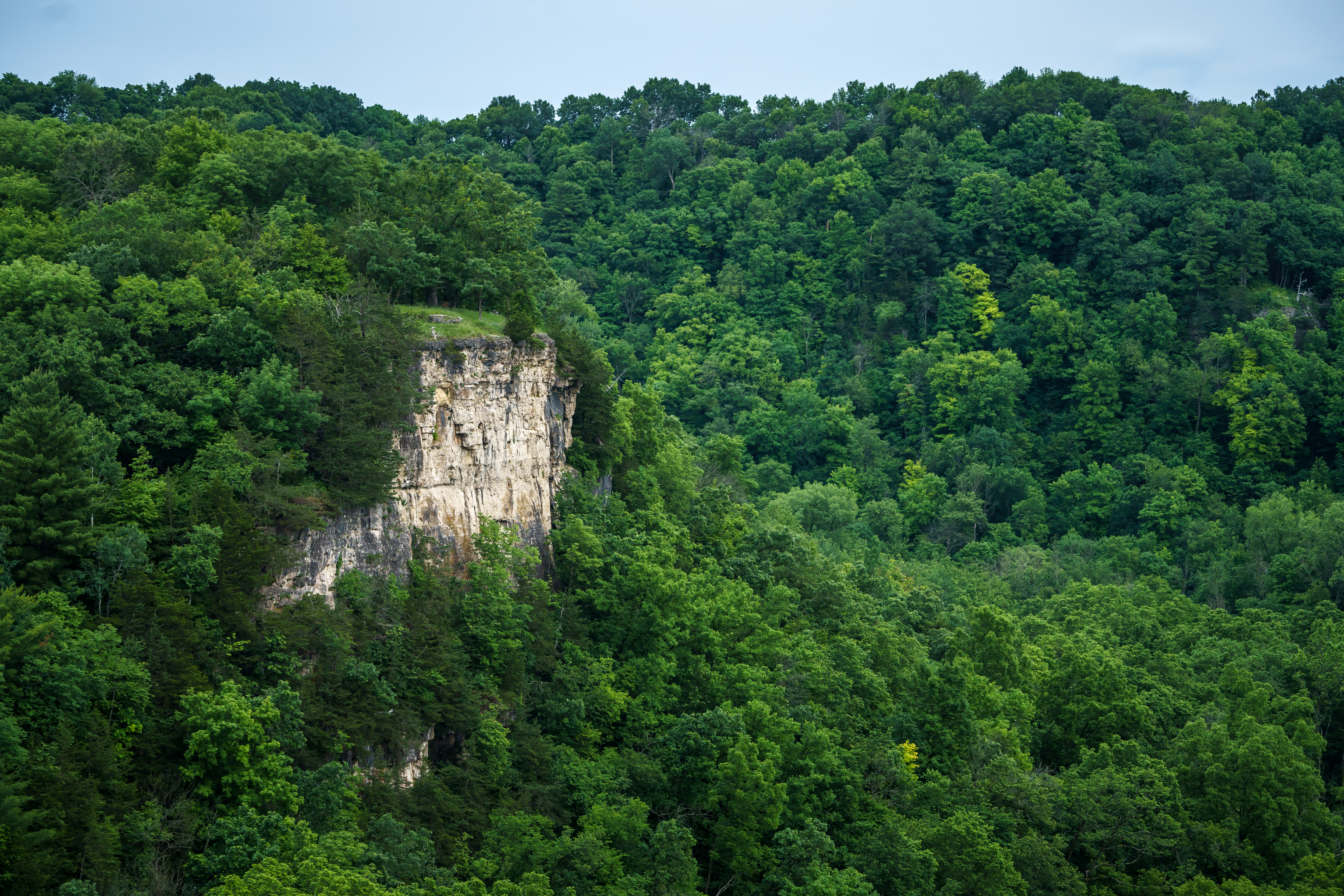 Driftless National Park idea shelved for Southeast Minnesota - Vimarsana News