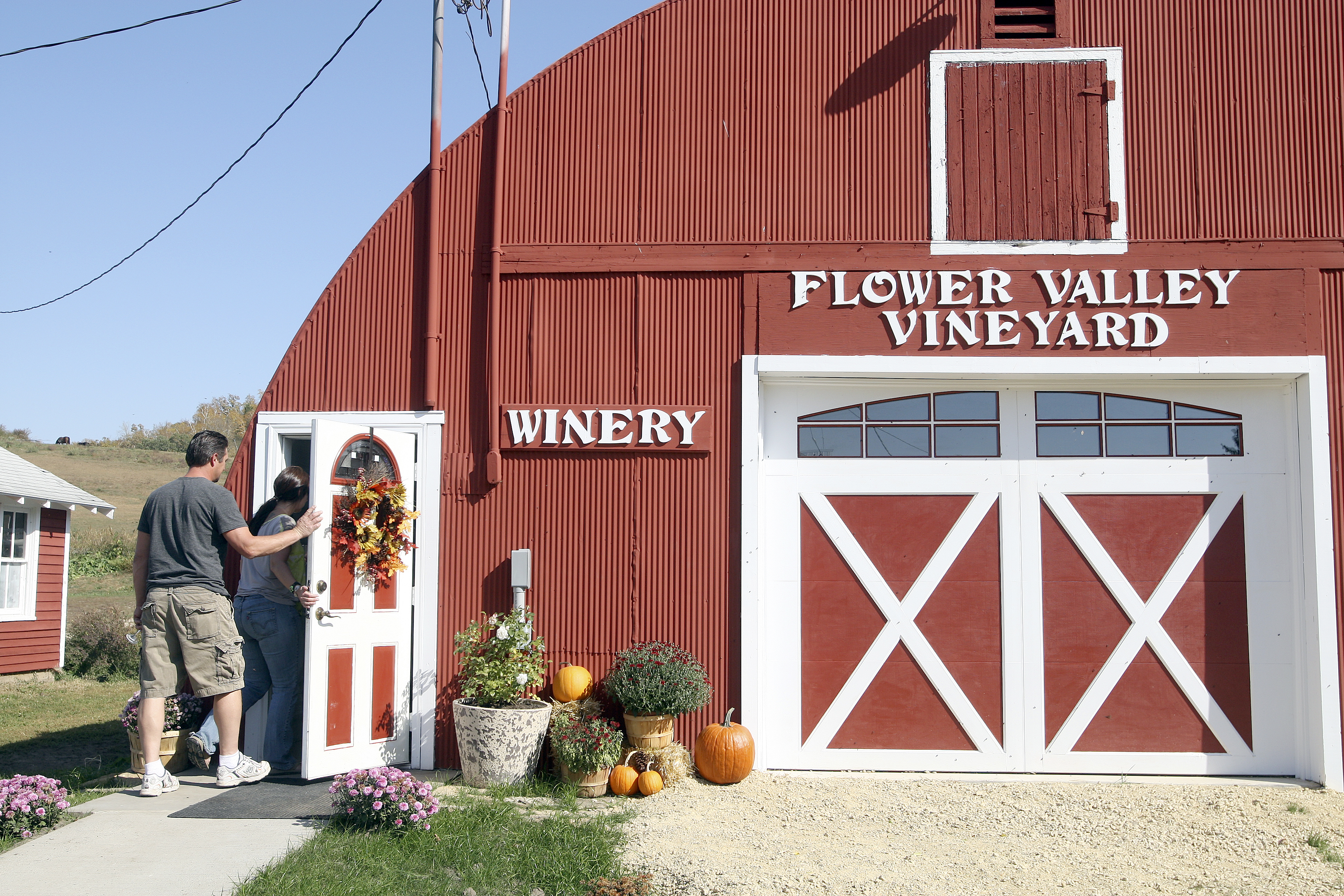 New winery flowers in Red Wing - Vimarsana News