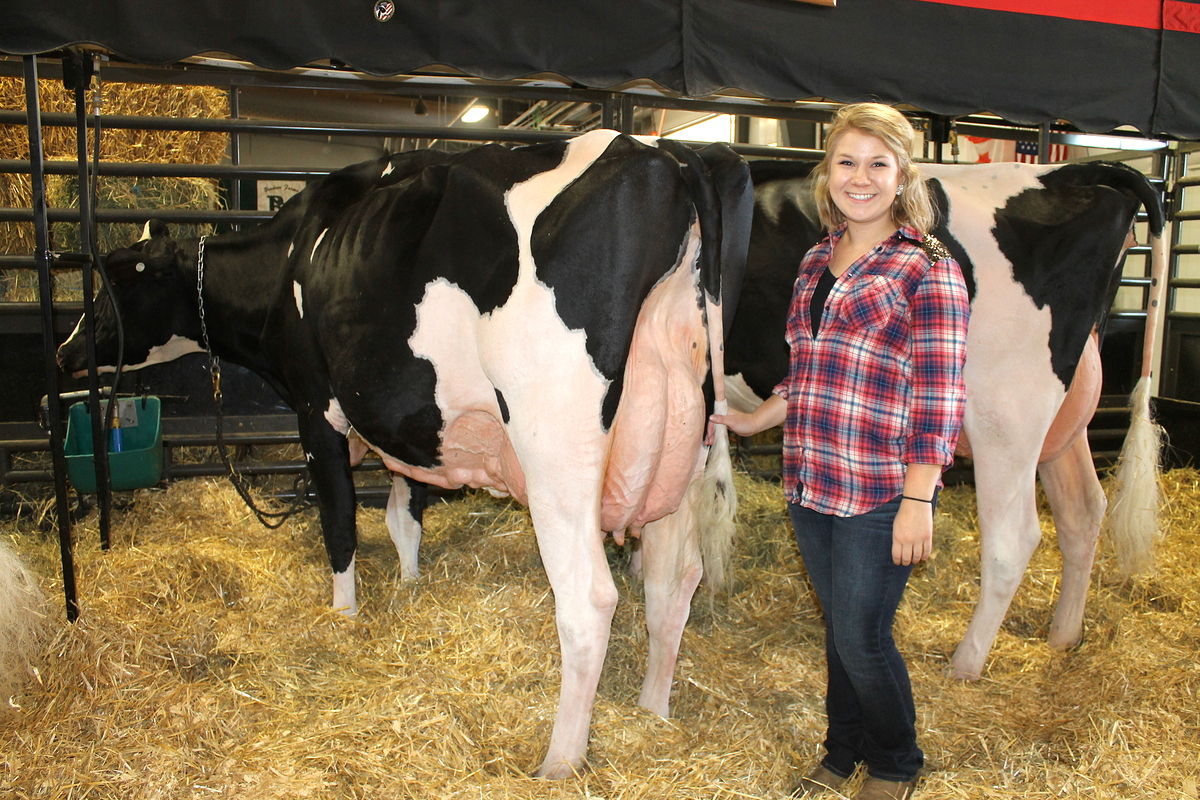 Winning champion bred and owned nice way to end junior career for Culbertson - Vimarsana News