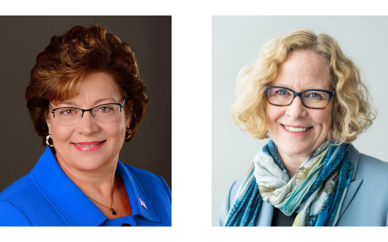 Election 2022: Senate District 24 - Vimarsana News