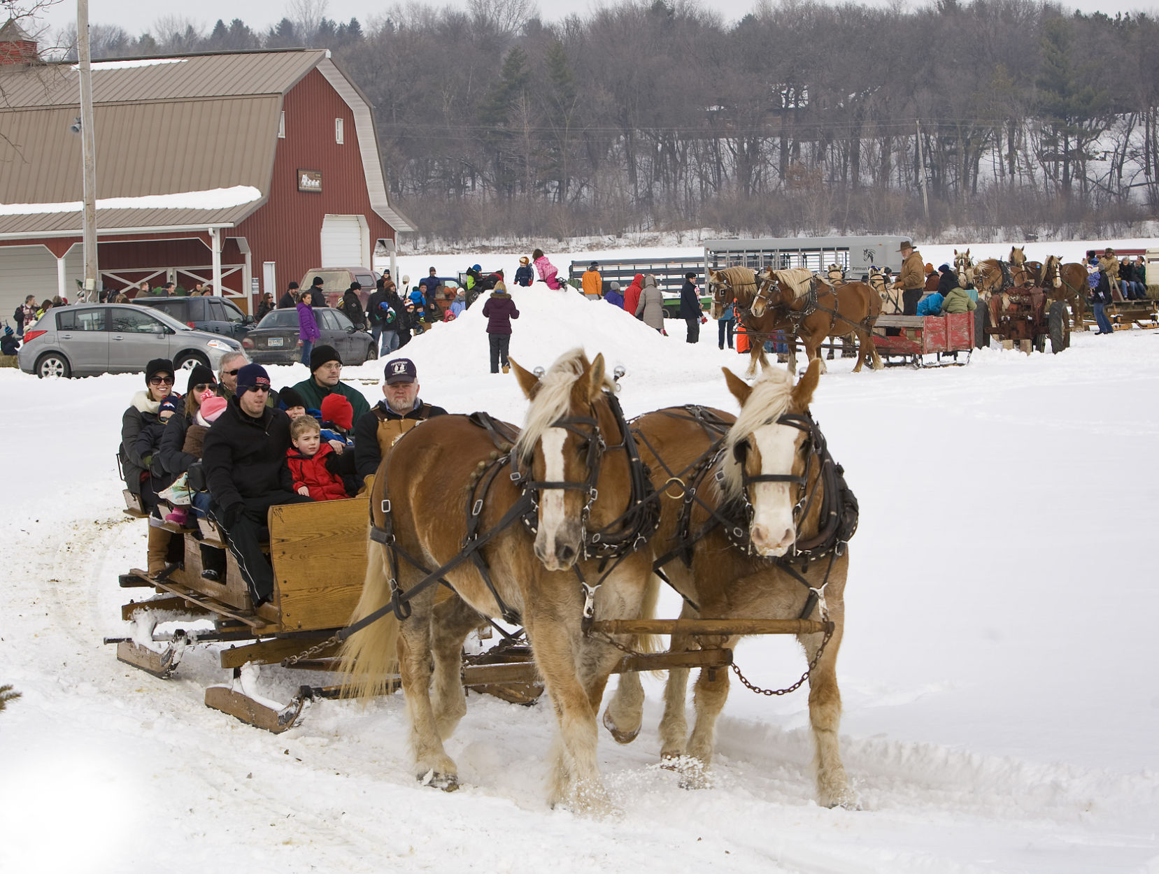 Sleigh ride for a cause, hot dishes in Wabasha highlight weekend events - Vimarsana News