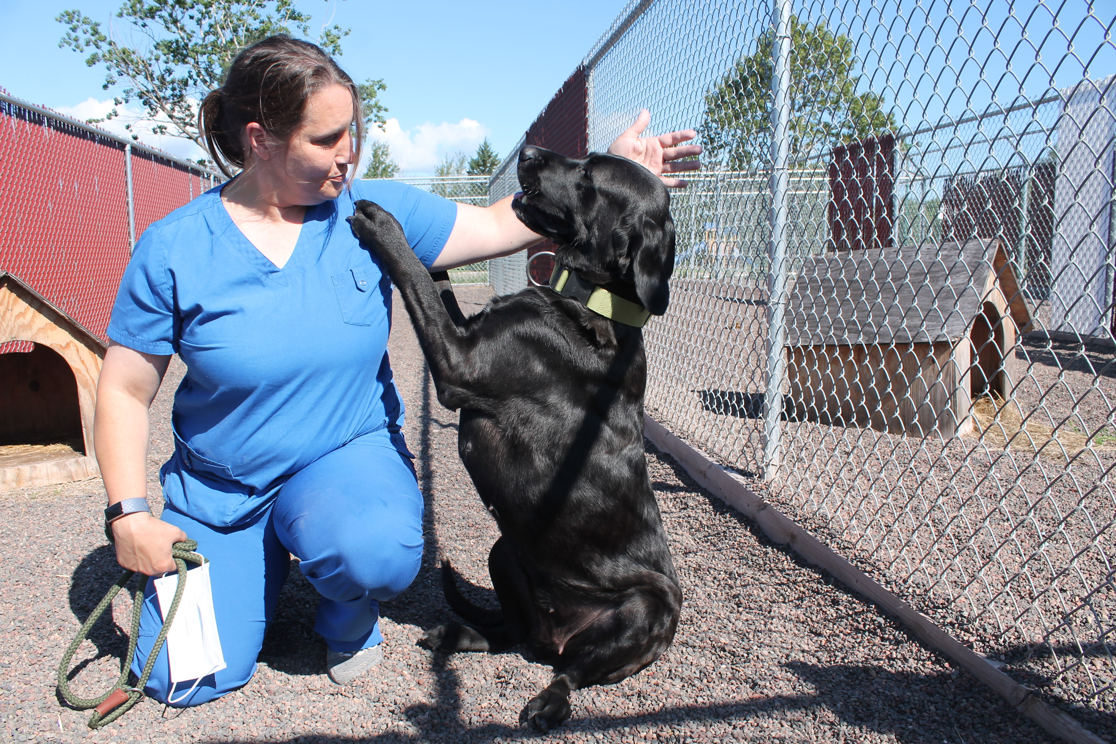 Letter: Thank you from the Humane Society of Douglas County - Vimarsana News