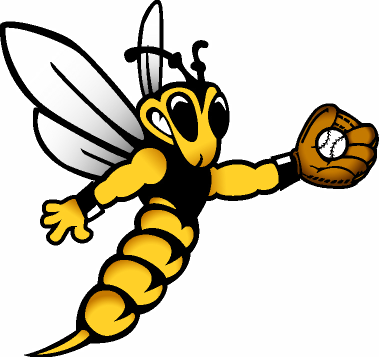 Yellowjackets Report: Luoma no-hits Finlandia in doubleheader sweep - Vimarsana News