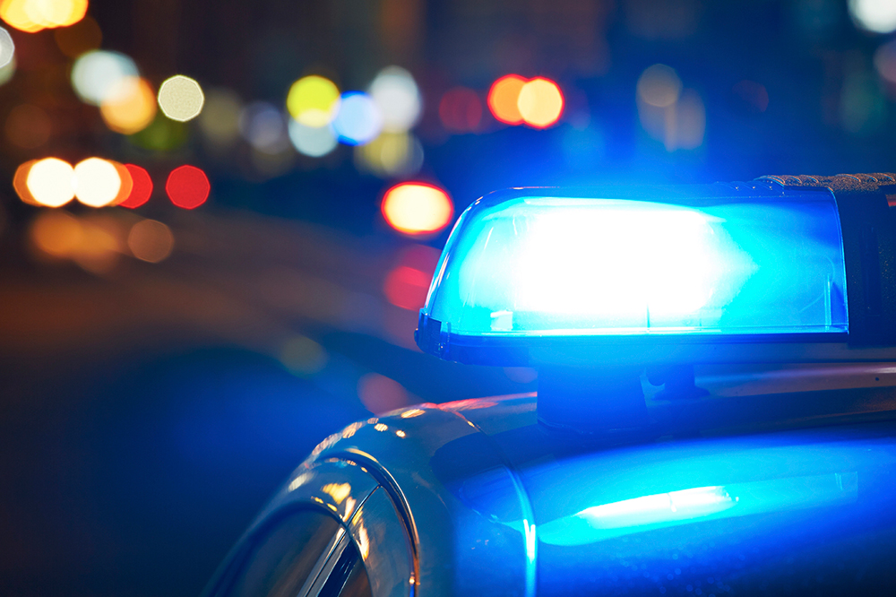 Two major drug busts in Billings County occur within 72 hours - Vimarsana News