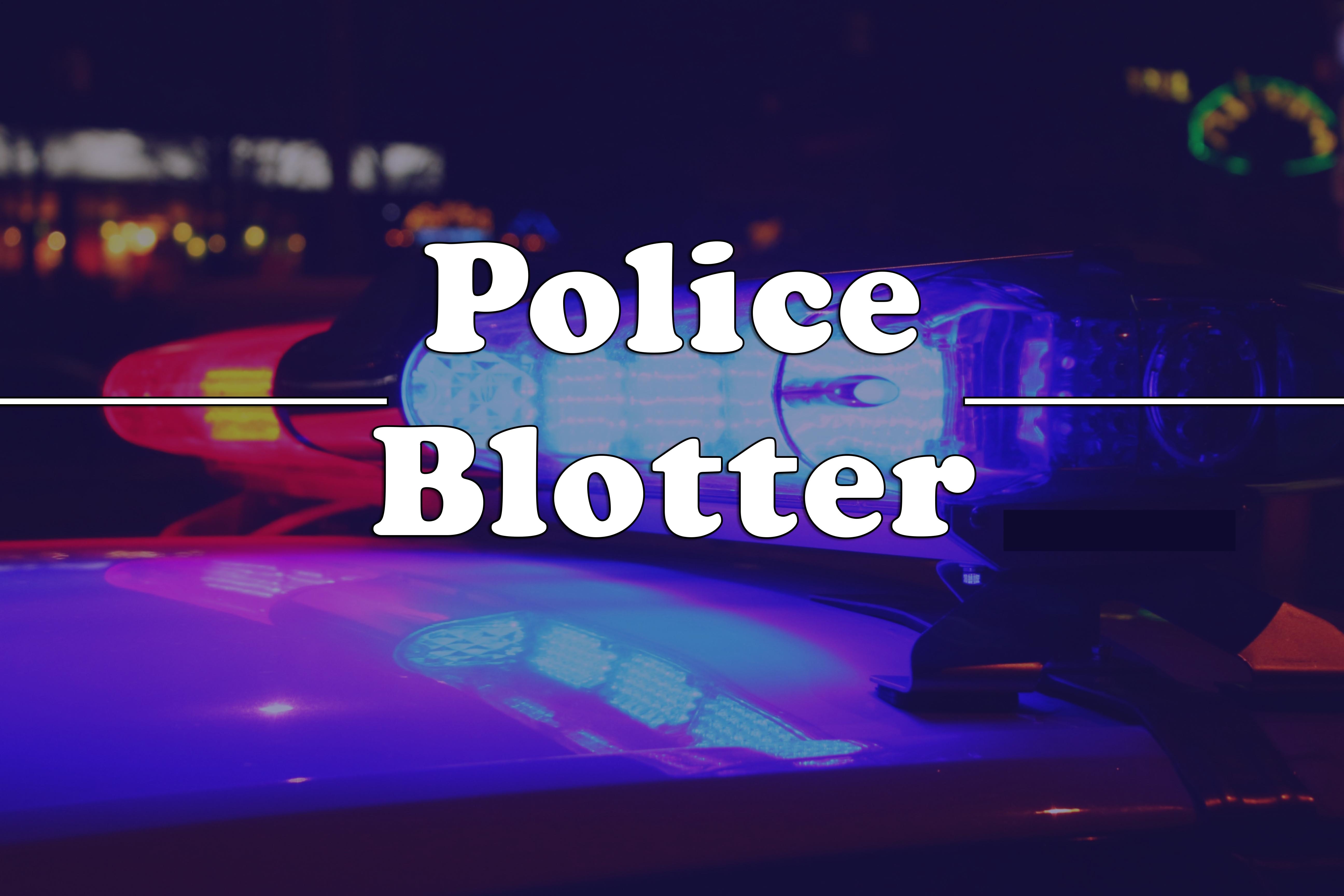 Police Blotter: March 16 to March 29 - Vimarsana News