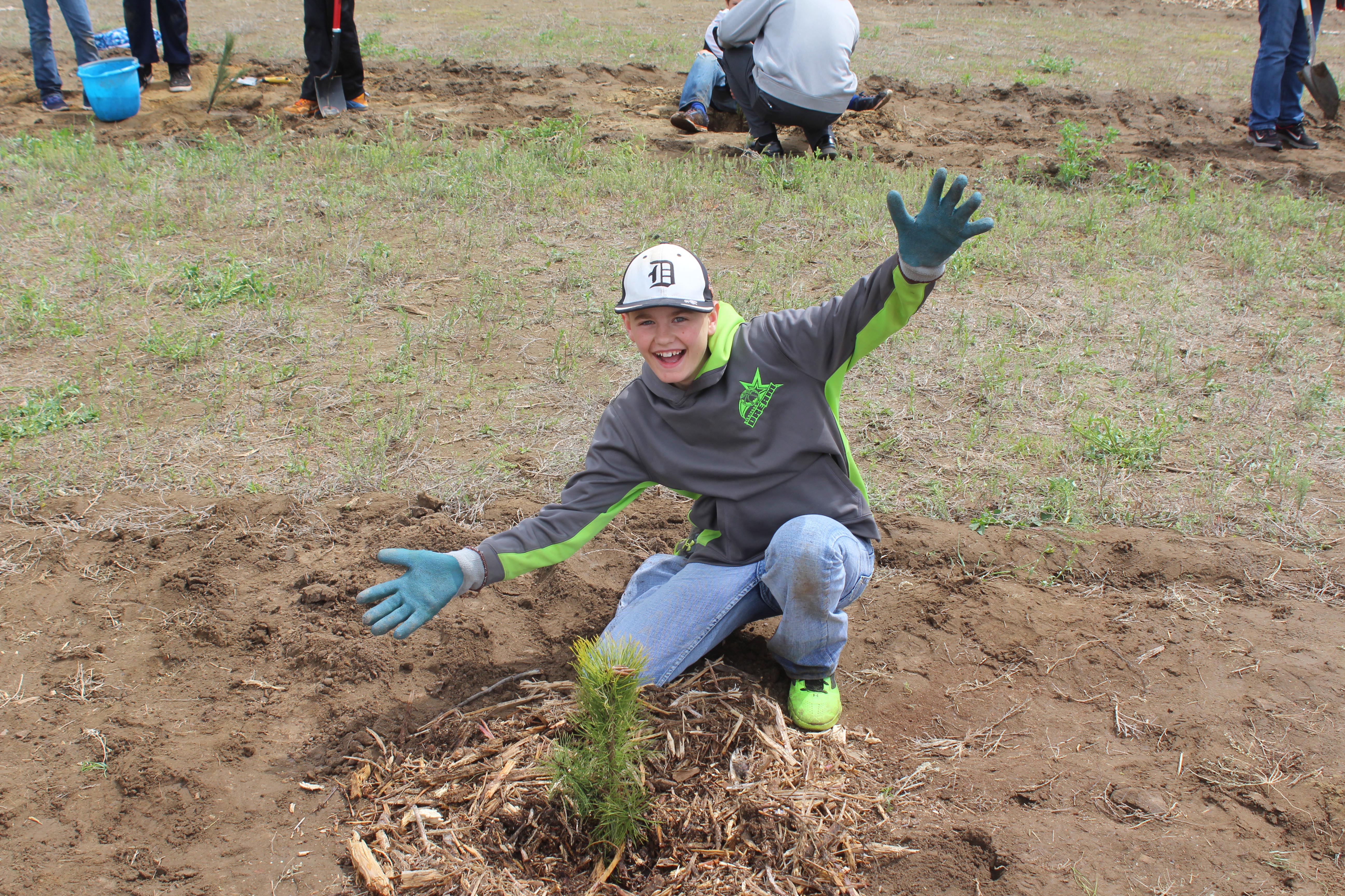 Spring tree-t : Celebrating Arbor Day in Dickinson and the importance of preserving nature - Vimarsana News