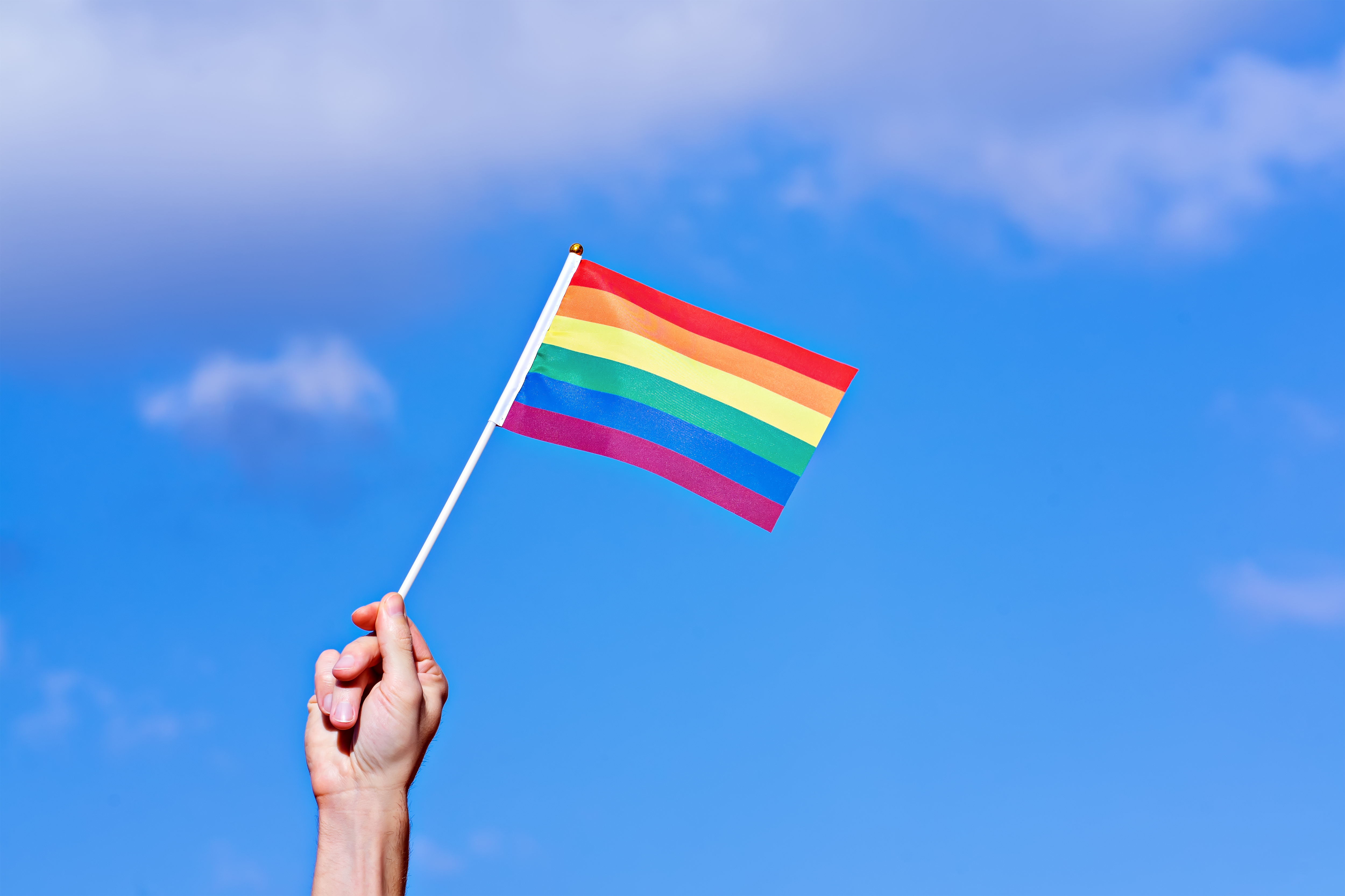 Report finds many North Dakota schools fall short on support for LGBTQ students - Vimarsana News