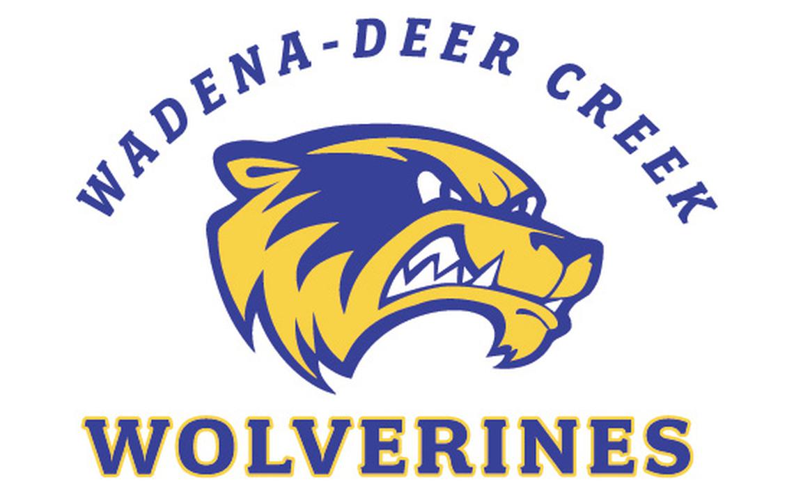 Wadena-Deer Creek approves revised 2022 budget - Vimarsana News