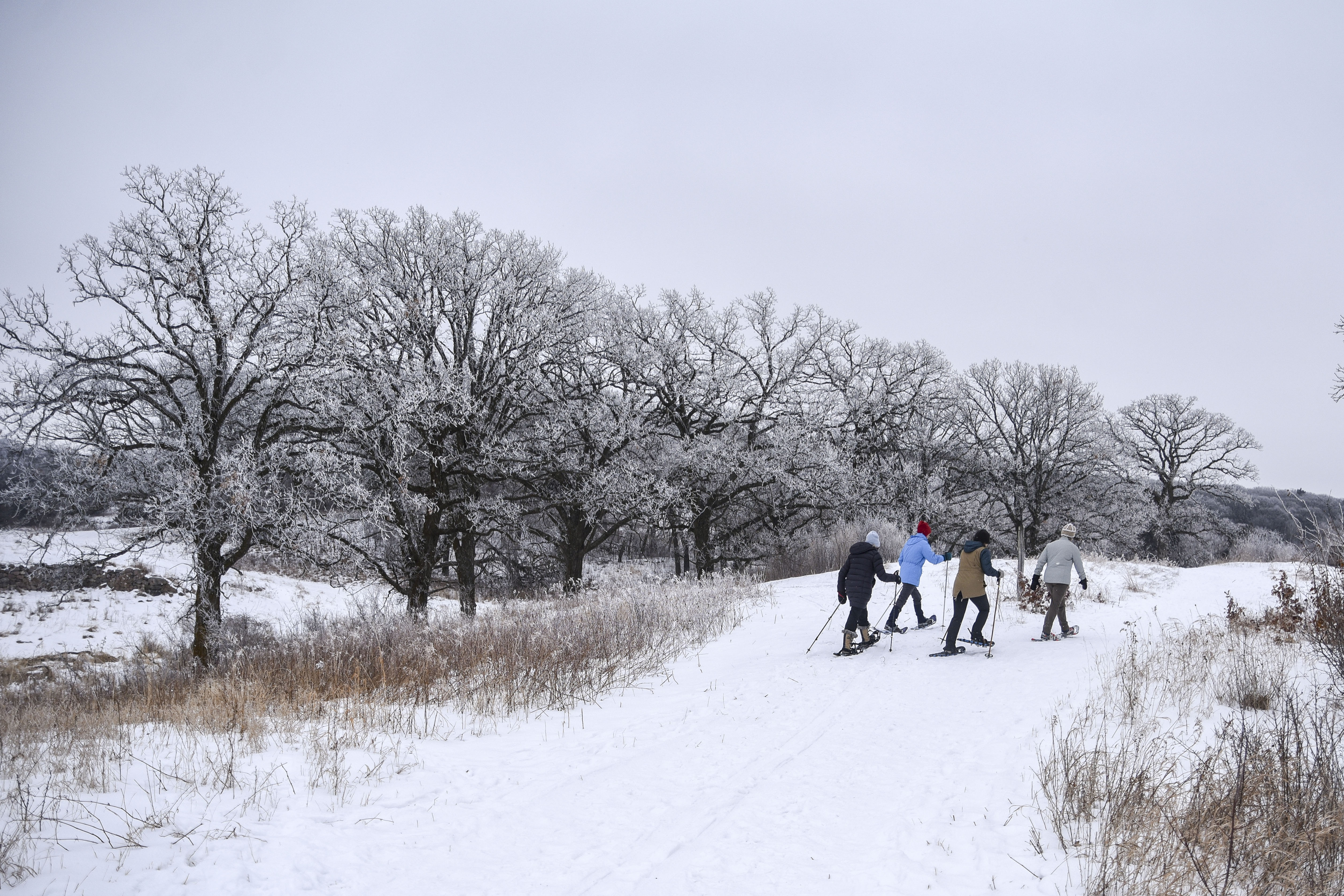 It is beginning to look a lot like time to ski, snowshoe and snowmobile in west central Minnesota - Vimarsana News
