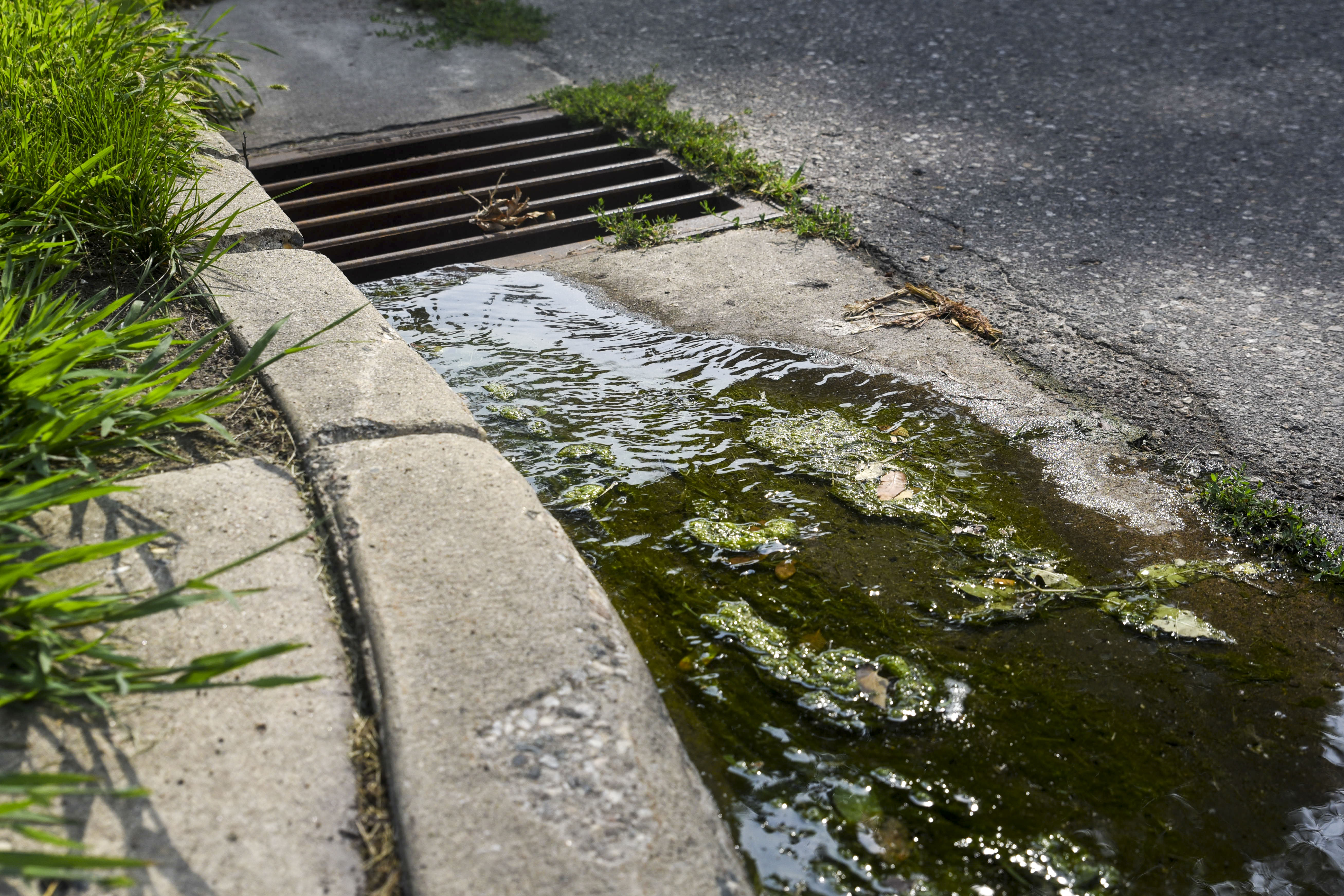 From rain barrels to rain gardens, Willmar residents can help the city keep pollutants out of stormwater - Vimarsana News
