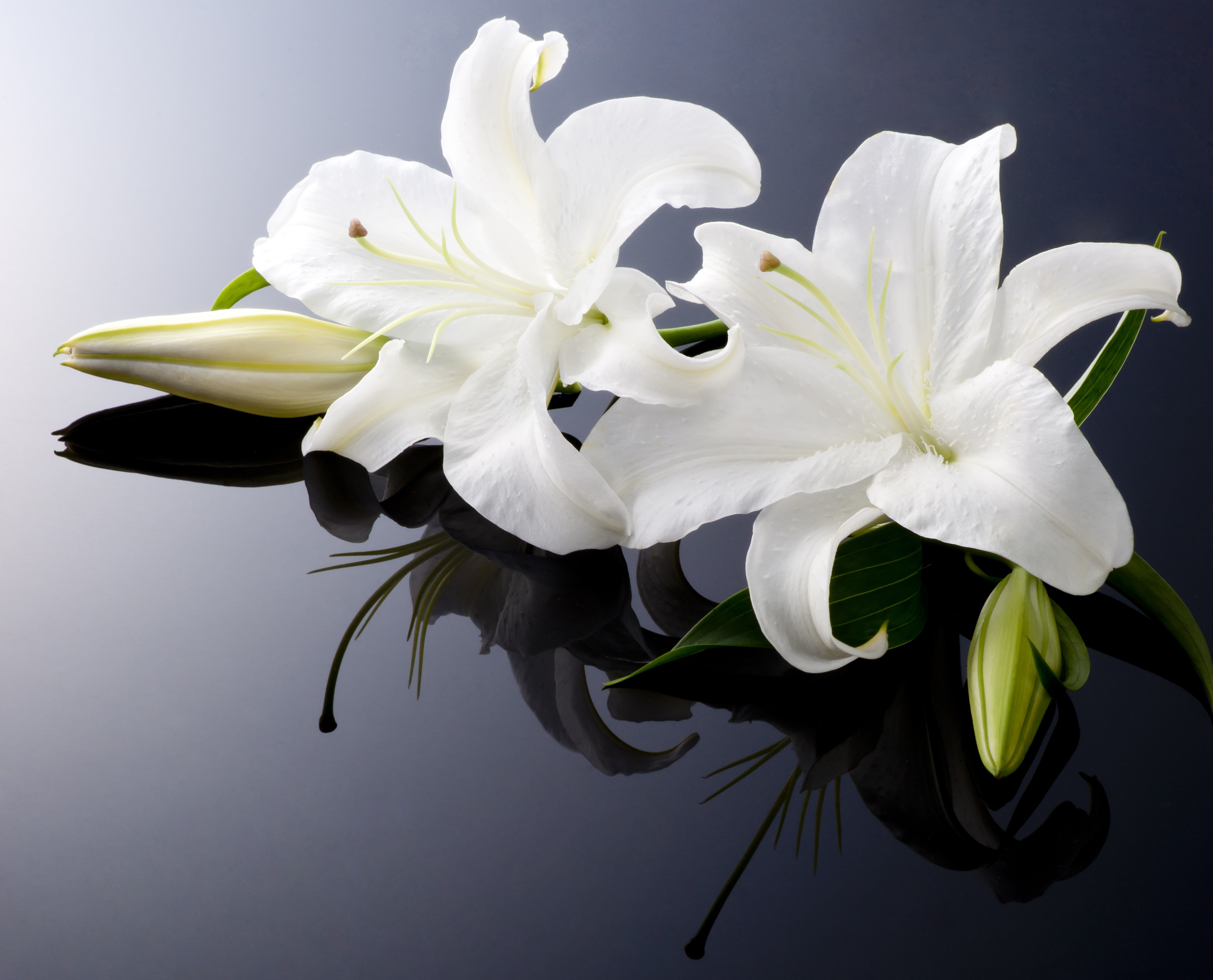 Funeral service listing published Sept. 22, 2022 - Vimarsana News