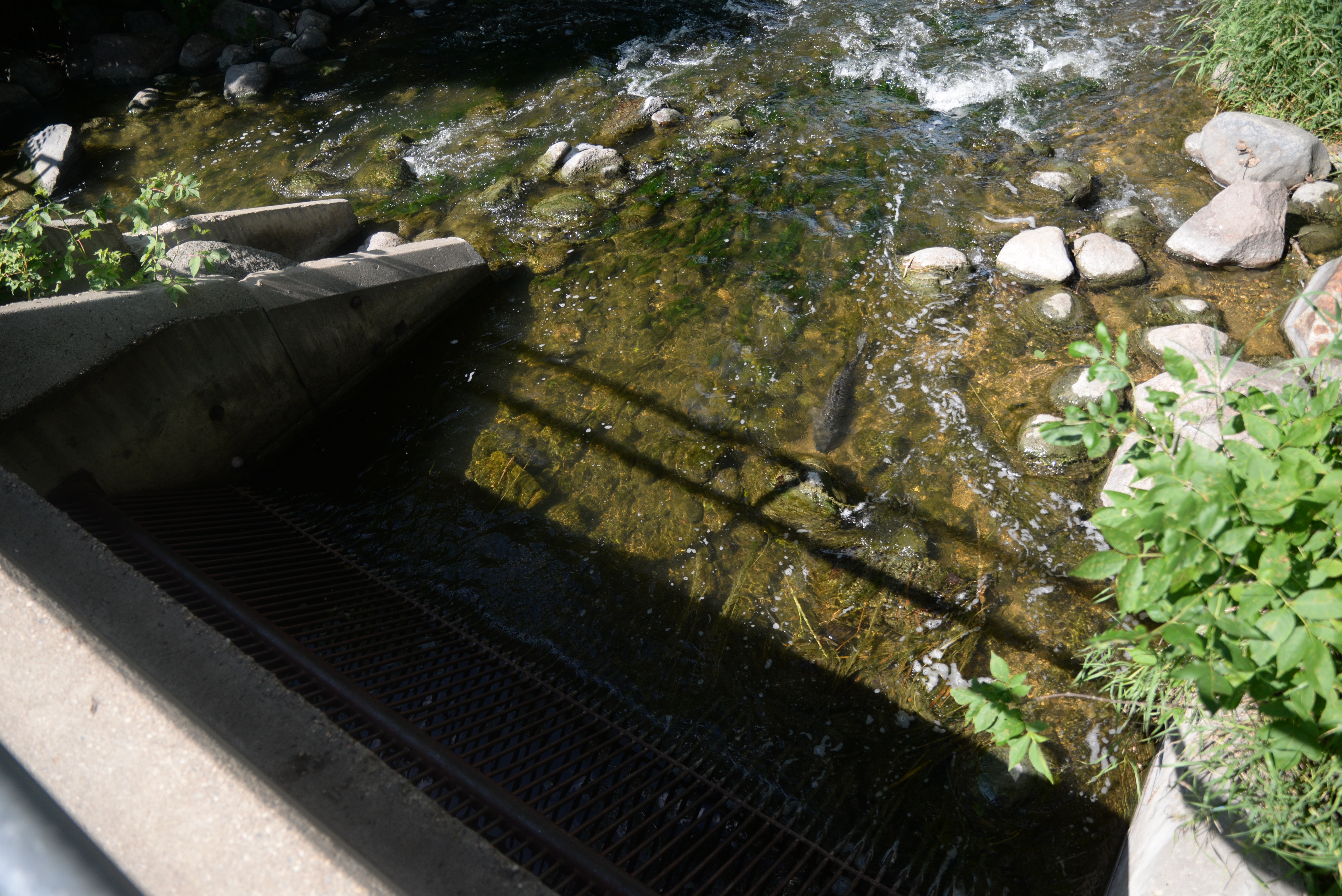 Kandiyohi County Board to consider Hawk Creek - Middle Minnesota watershed management plan at Tuesday meeting - Vimarsana News
