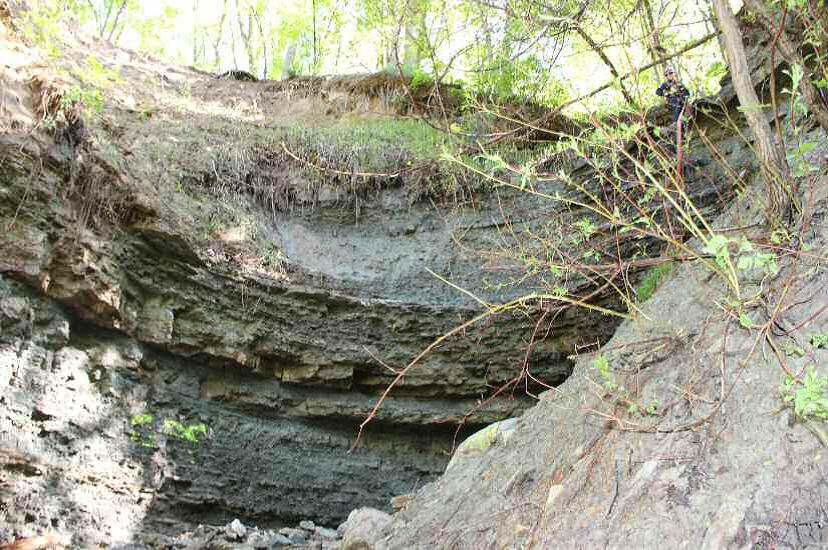 Families mourn fourth-graders killed in St. Paul landslide - Vimarsana News