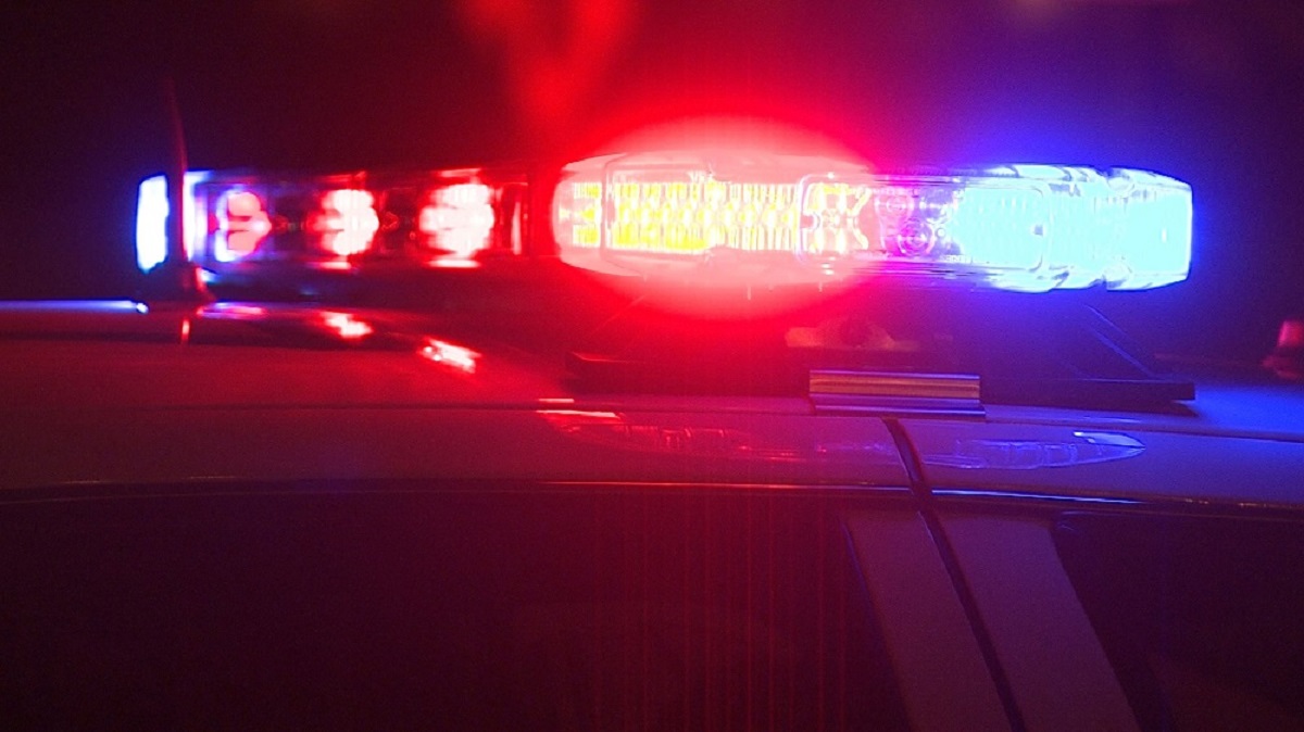 Two suspects arrested after fight involving a handgun in Willmar - Vimarsana News